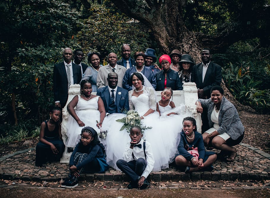 people taking wedding photograph, real people, tree, large group of people HD wallpaper