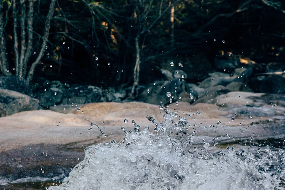 water, splash, nature, background, energy, motion, river, woods HD wallpaper