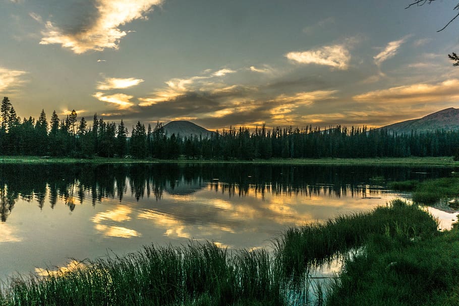 forest, lake, trees, pines, water, wilderness, dusk, clouds HD wallpaper