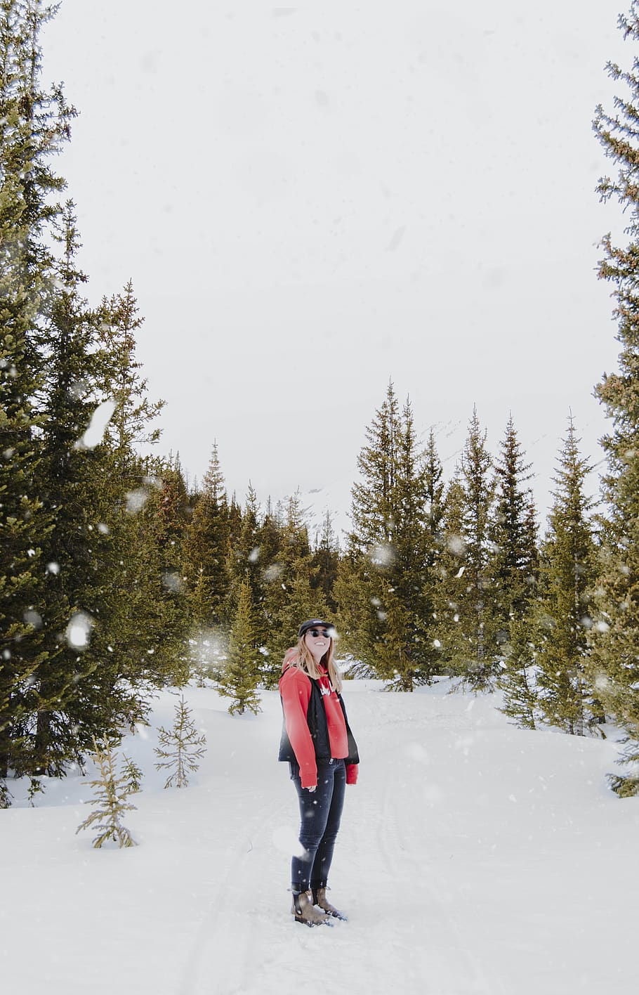 woman in red top and black jeans on snow field, tree, plant, abies