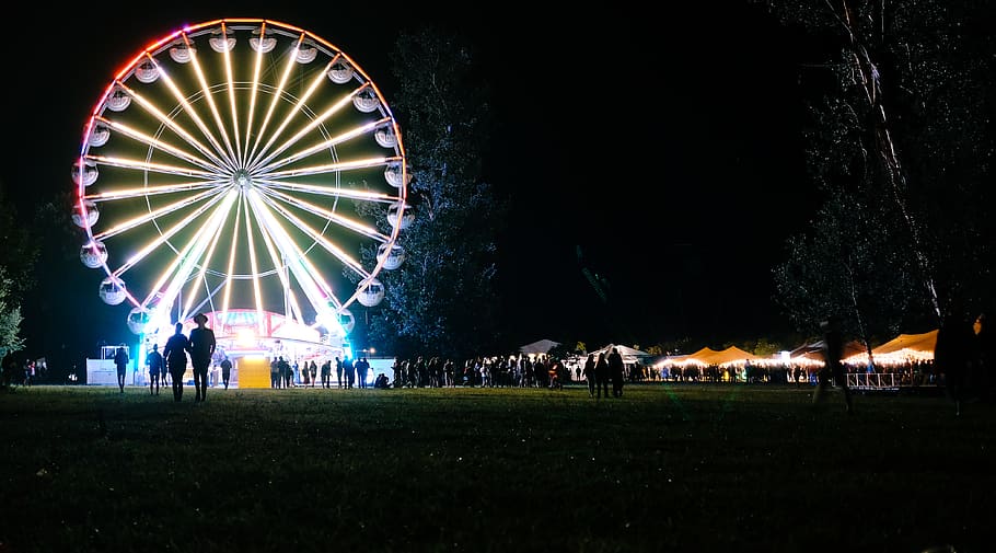 tree, park, nature, friend, crowd, night, wheel, light, party HD wallpaper