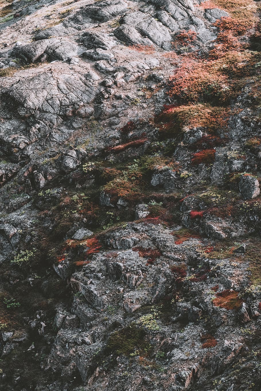 gray rock, full frame, no people, solid, day, nature, backgrounds HD wallpaper