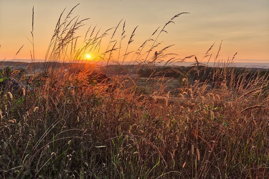 sunset, nature, sky, dawn, landscape, dusk, grass, outdoors HD wallpaper