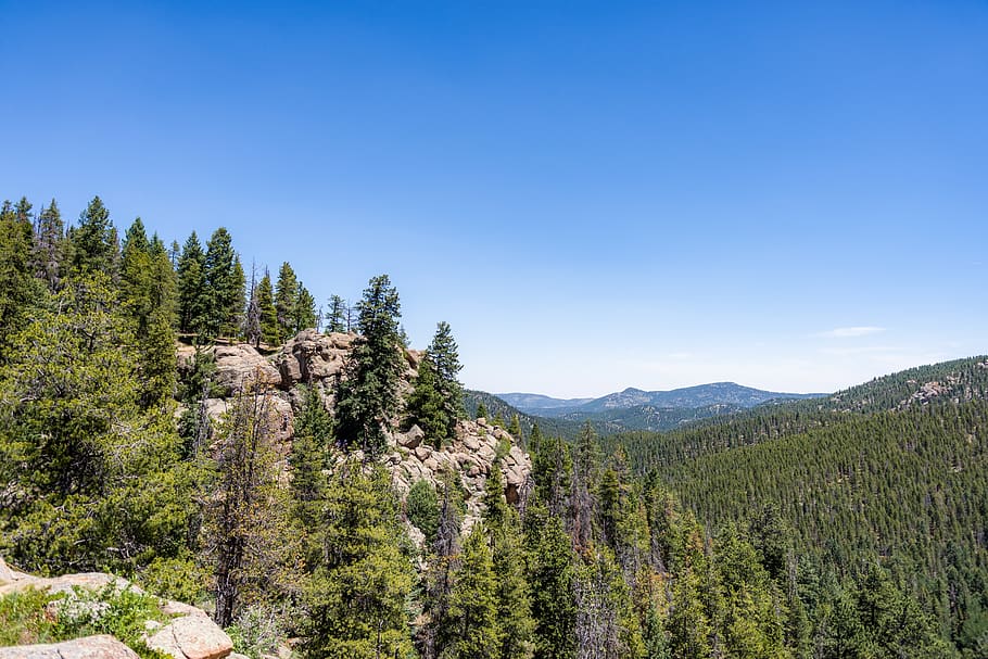 forest, mountains, sky, colorado, denver, trees, valley, plant HD wallpaper