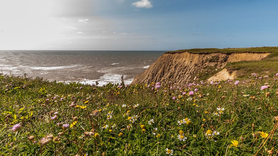 cliff, sea, denmark, coast, landscape, rock, beach, nature HD wallpaper