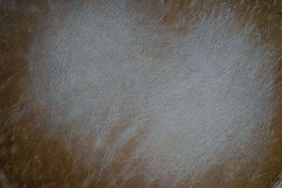 united states, miami beach, surface, texture, cowhide, leather texture HD wallpaper