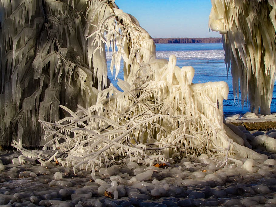 Reelfoot 1080P, 2K, 4K, 5K HD wallpapers free download | Wallpaper Flare