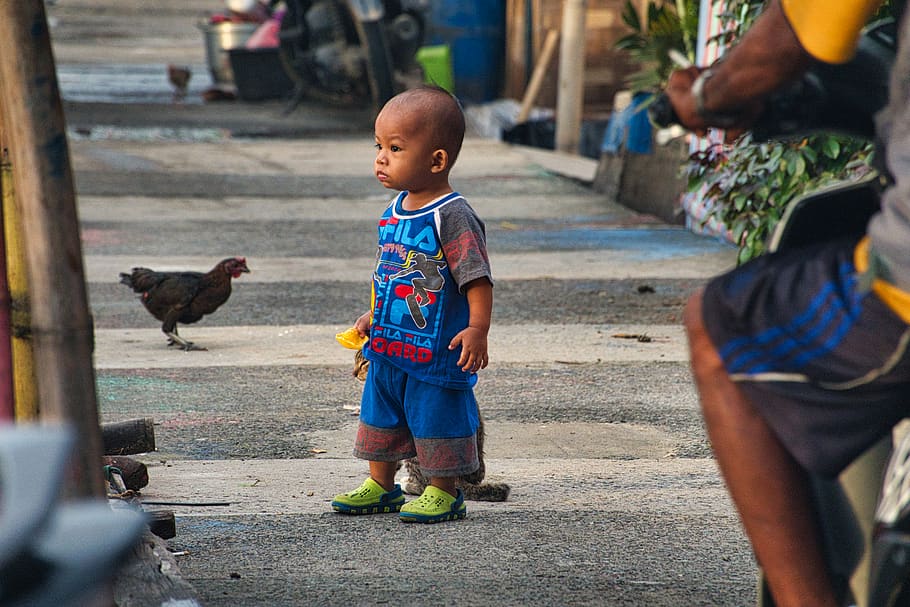 Boy Standing Beside Cat on Roadside, chicken, child, curious HD wallpaper