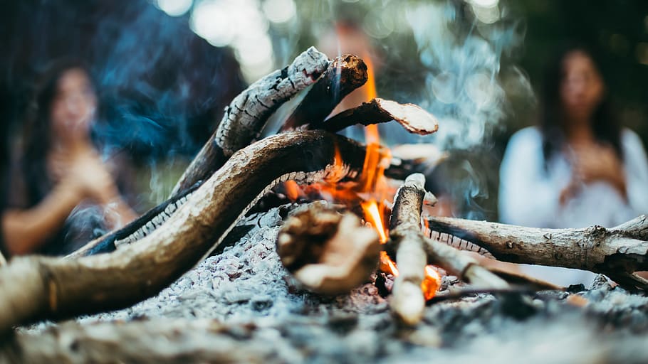 person, human, fire, flame, smoke, bonfire, food, animal, lizard HD wallpaper