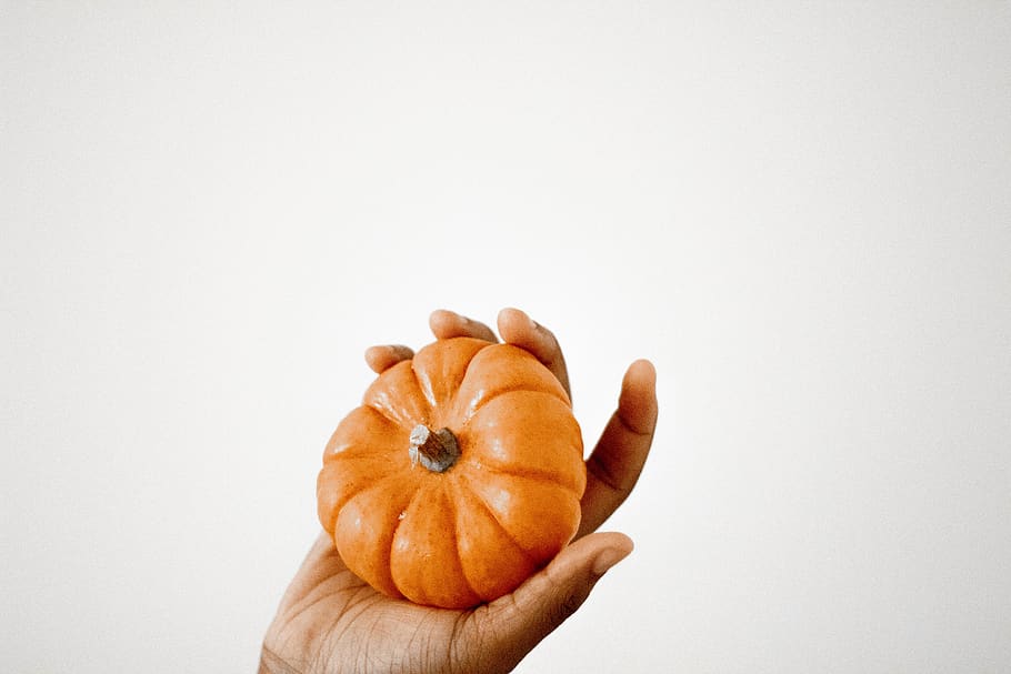 person holding brown squash, human hand, human body part, food HD wallpaper