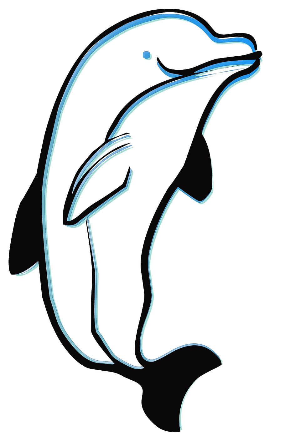 sea, creature, fish, dolphin, graphical, studio shot, white background HD wallpaper