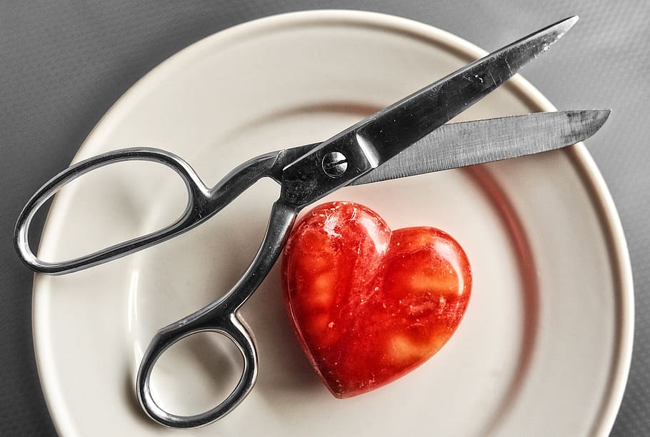 scissors, cut, tool, paper, hair, heart, love, organ, plate HD wallpaper