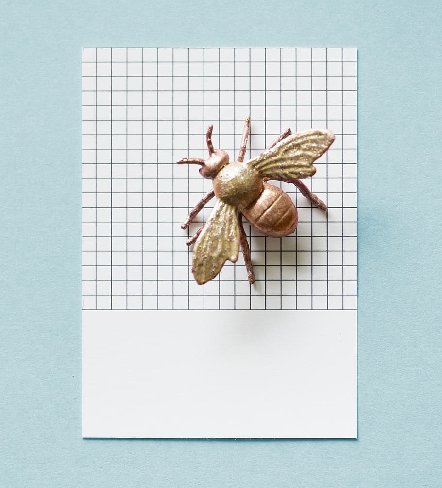Gold-colored Bee Decor on White Surface, bug, card, close-up HD wallpaper
