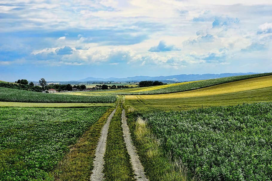 nature, landscape, lane, clouds, sky, scenic, panorama, idyllic HD wallpaper