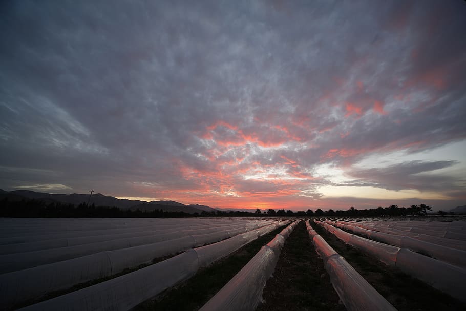iran, bigherd, sky, landscape, field, clouds, farm, colorful HD wallpaper