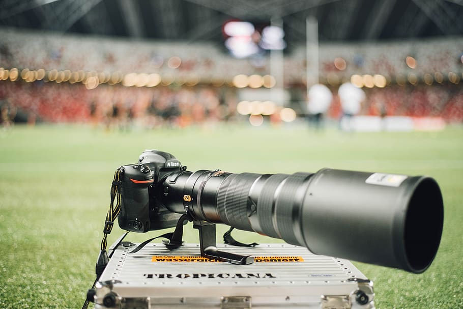 green, grass, field, camera, photography, blur, bokeh, focus on foreground HD wallpaper