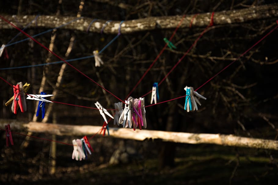 clothes clip hanging, clothesline, clothespin, multi colored HD wallpaper