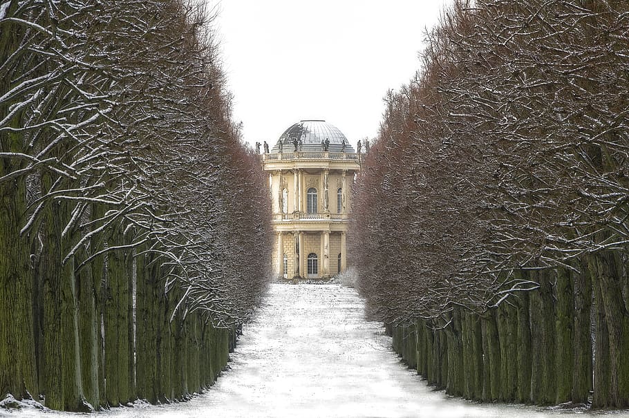 winter, snow, cold, landscape, wintry, snow landscape, architecture HD wallpaper