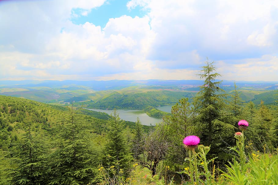 landscape, nature, lake, spring, greens, forest, sky, clouds HD wallpaper