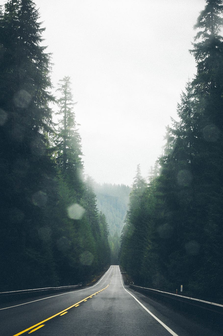 empty asphalt road surrounded by trees, nature, weather, outdoors HD wallpaper