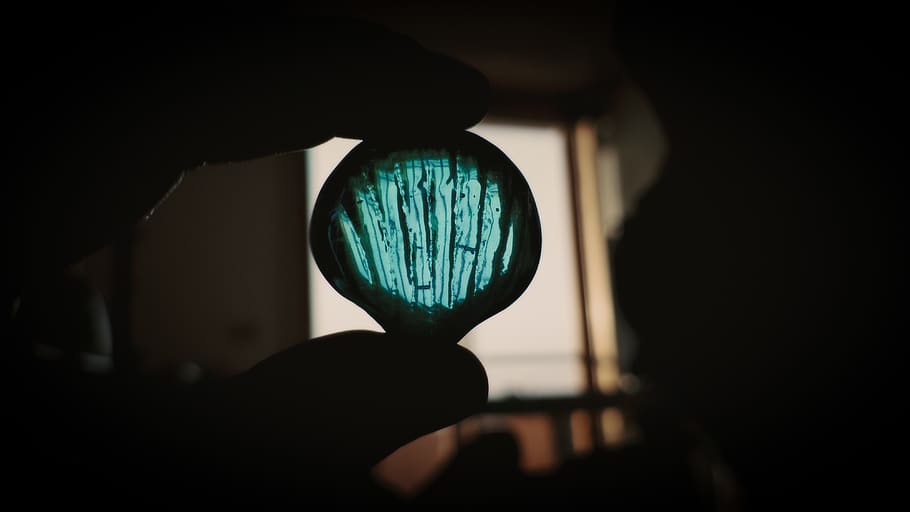 glass, shell, dof, contrast, macro, blur, shadows, cyan, black HD wallpaper