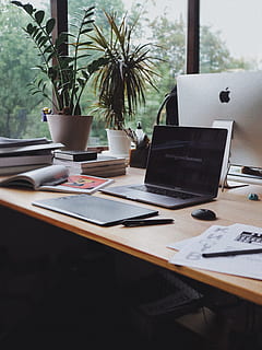 MacBook Pro, laptop, desk, plant, computer, workspace, office HD wallpaper