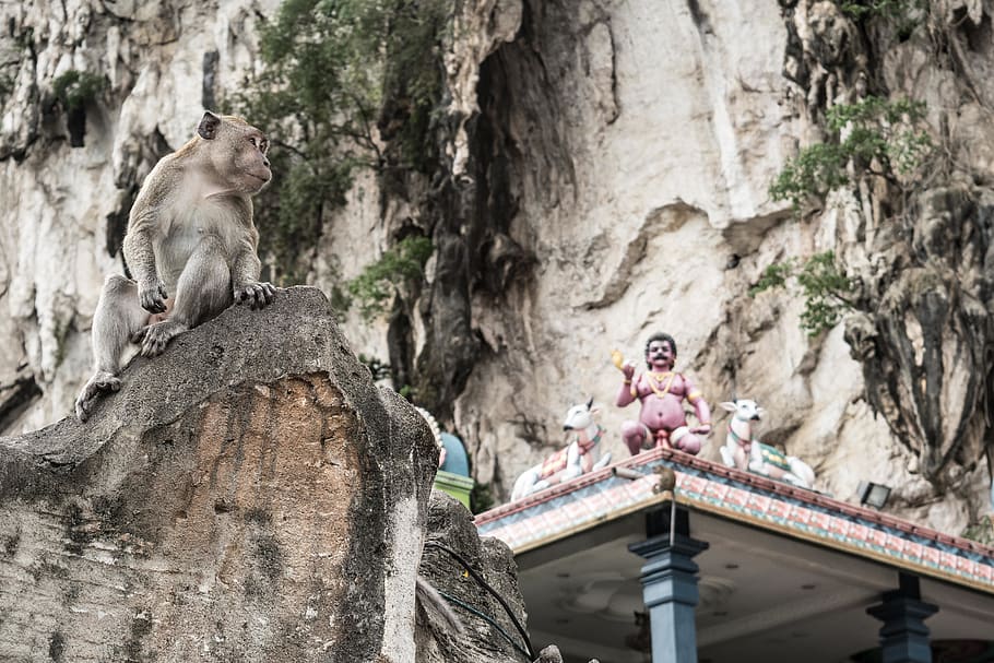 Batu, Caves 1080P, 2K, 4K, 5K HD wallpapers free download | Wallpaper Flare