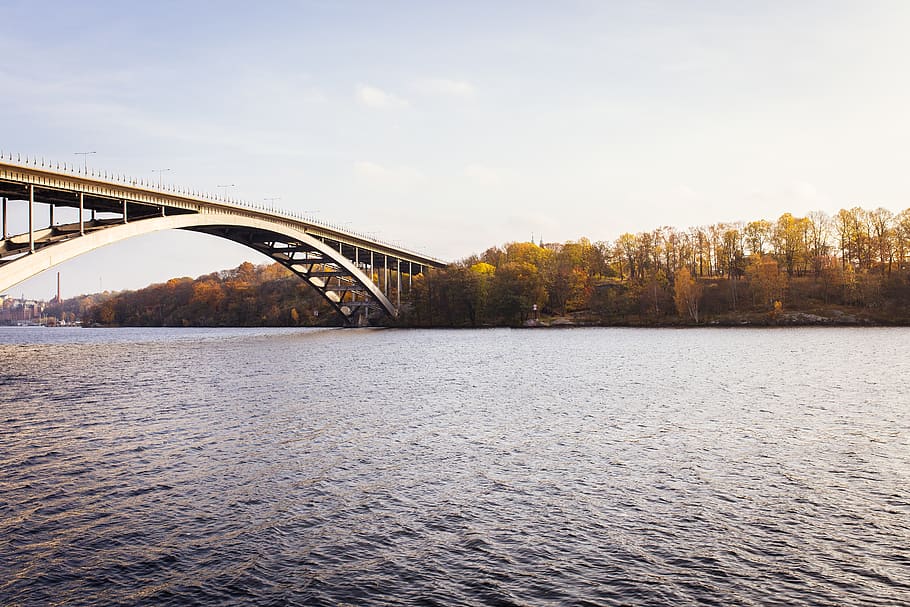 sea, water, ocean, trees, plant, highland, fall, autumn, bridge HD wallpaper