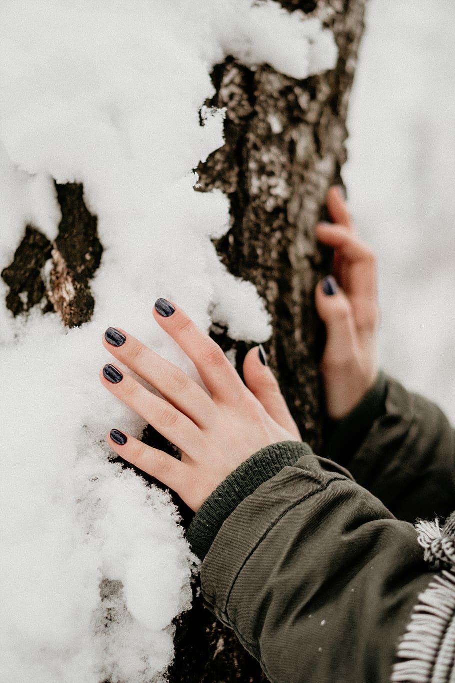 person touching gray stone, human, finger, hand, tree, winter HD wallpaper