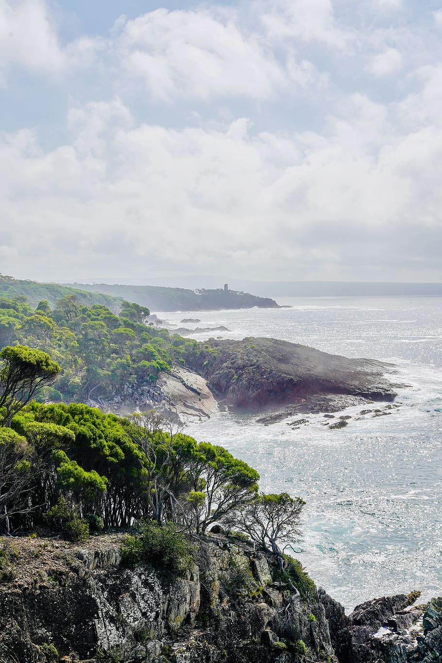 green trees on sea cliffs during daytime, sky, water, beauty in nature HD wallpaper