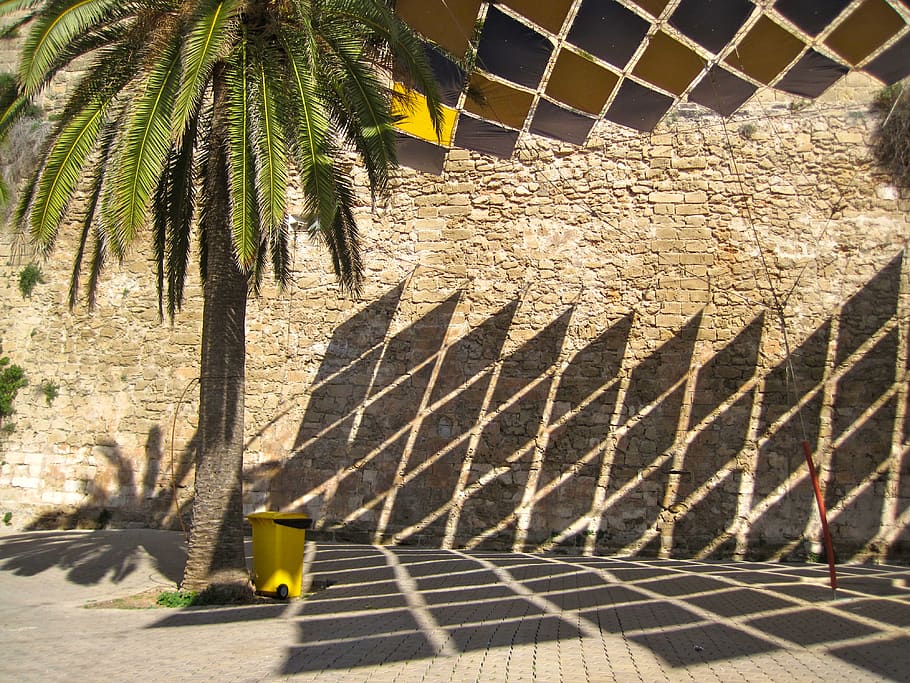 spain, palma, palm tree, wall, diamond, shadow, island, stone HD wallpaper
