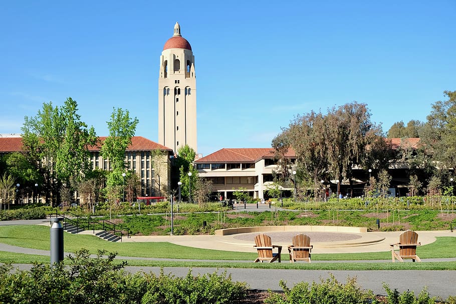 stanford, university, campus, tower, study, famous, beautiful