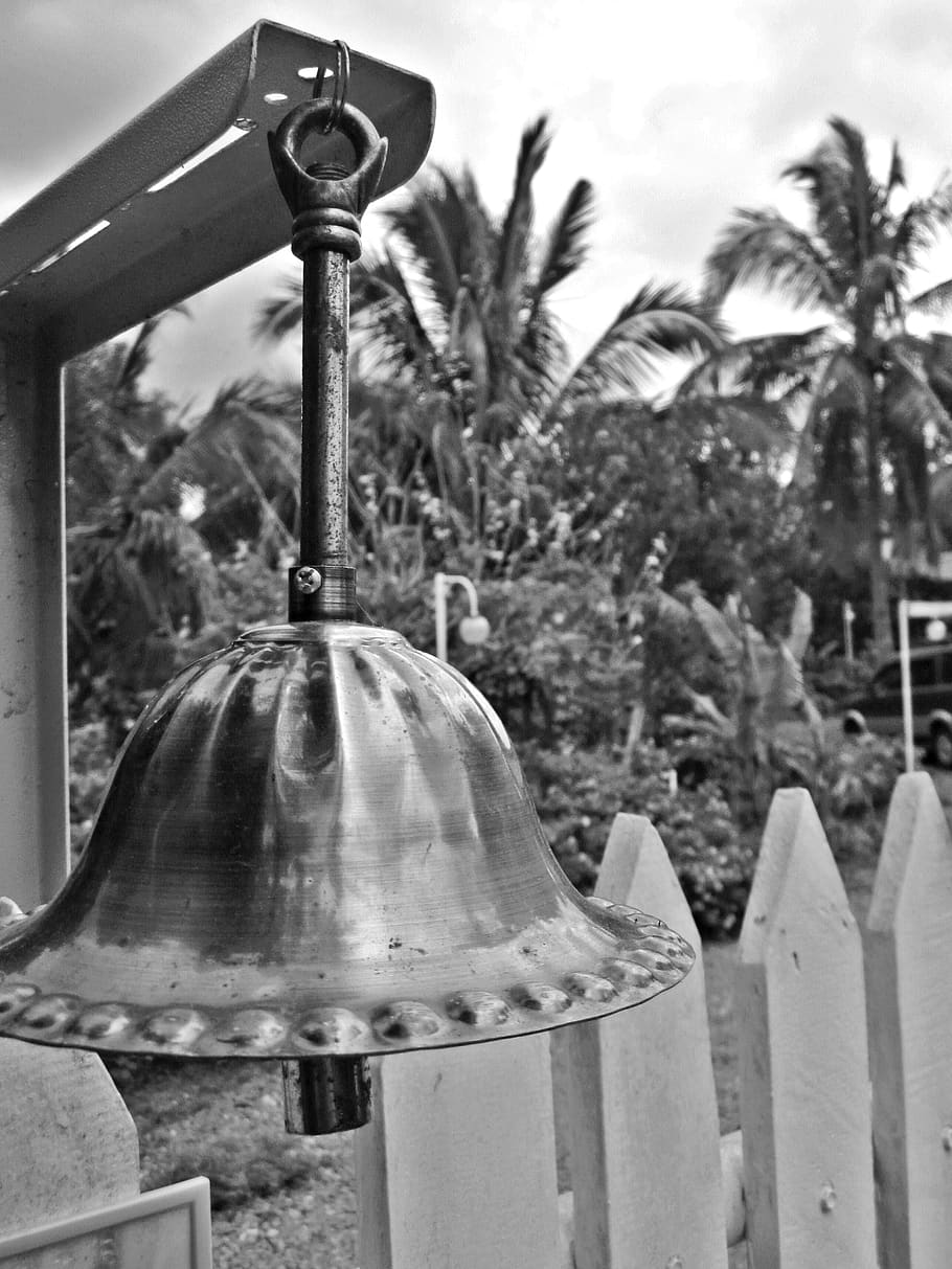 philippines, alfonso, time, plant, no people, focus on foreground HD wallpaper