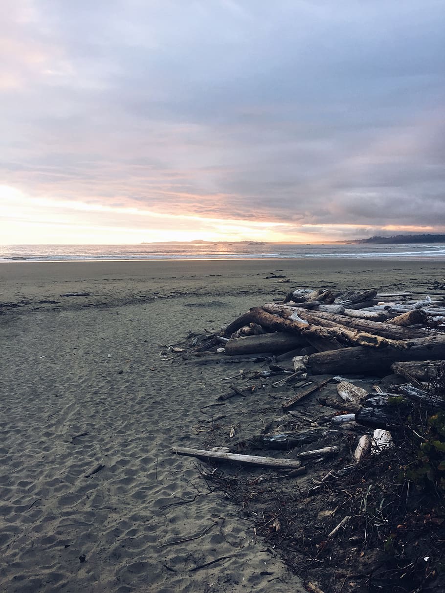 canada, vancouver, logs, beach, sand, sunset, water, sea, sky HD wallpaper