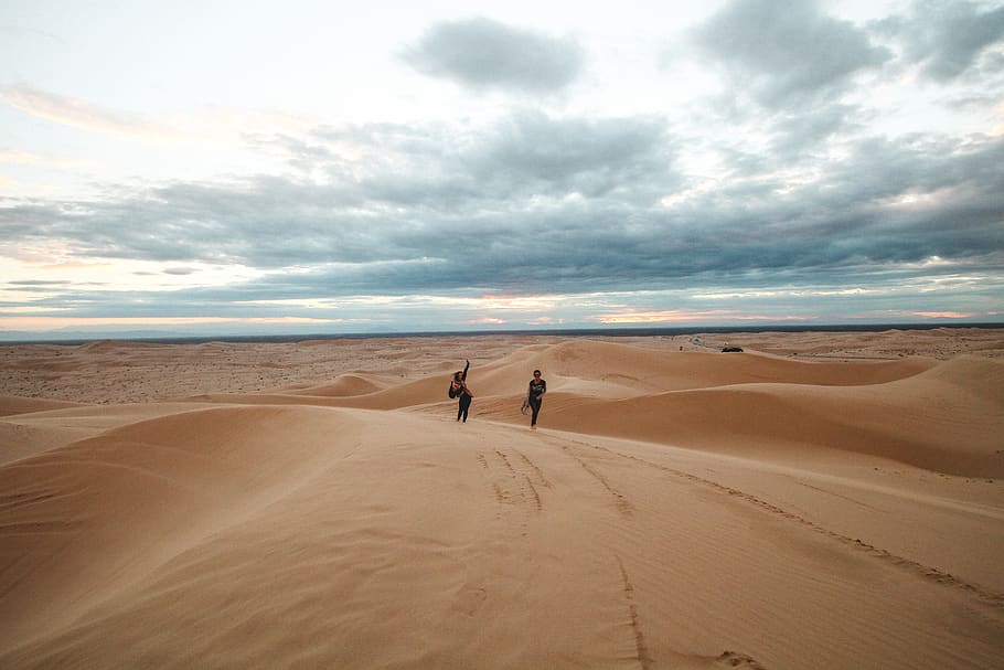 cloudy, winter, cold, expedition, unsplash expedition, road trip HD wallpaper