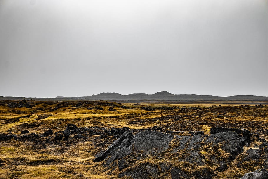 iceland, moss, landscape, environment, nature, no people, sky HD wallpaper