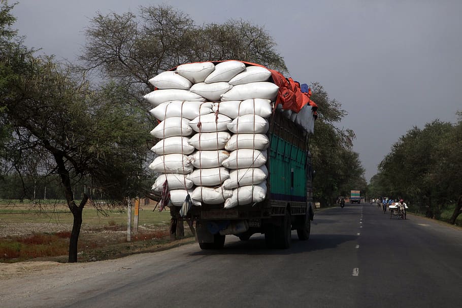nepal, biratnagar, tree, plant, transportation, road, mode of transportation HD wallpaper
