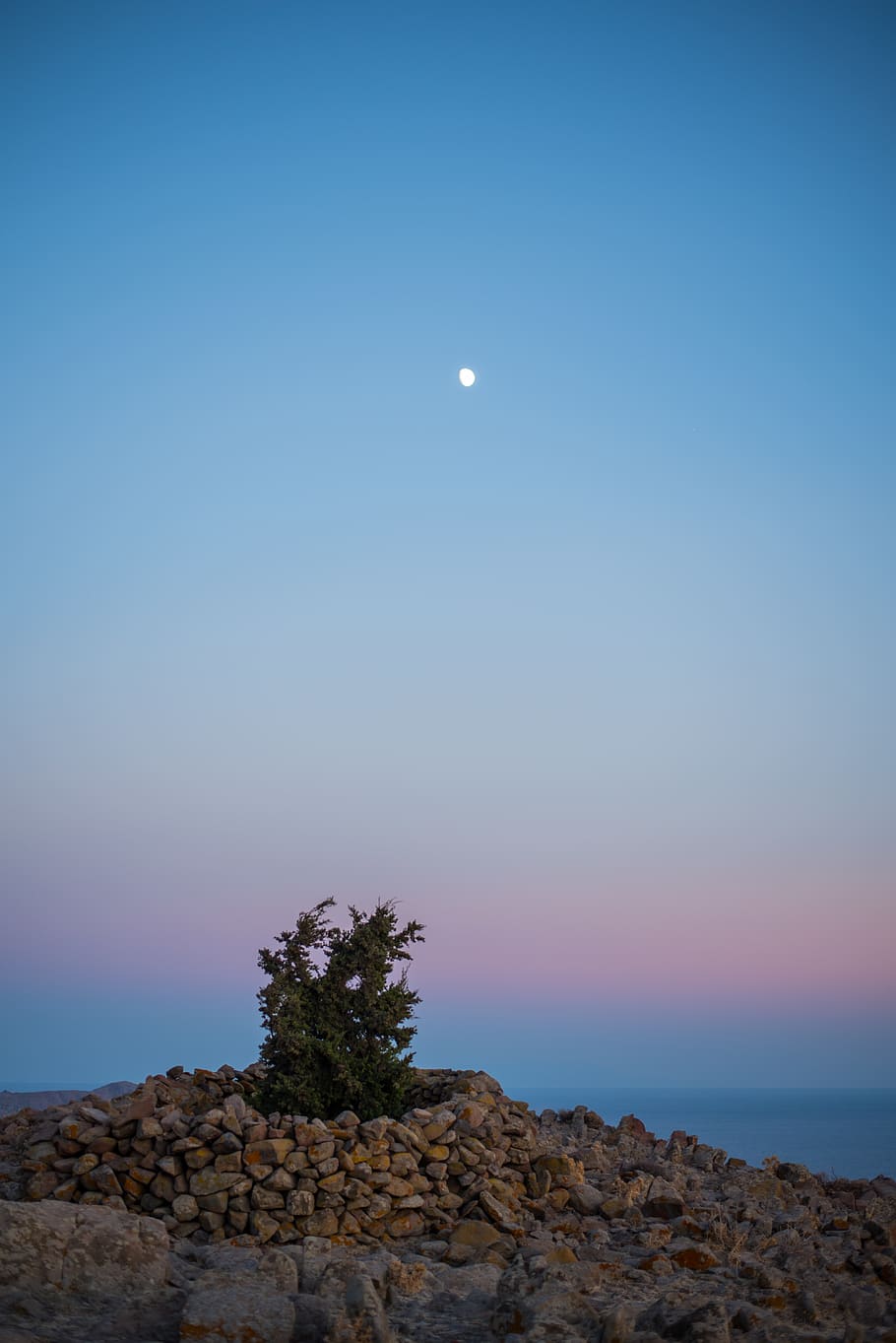 green plant, nature, outdoors, greece, moon, skala eressos, lesvos HD wallpaper