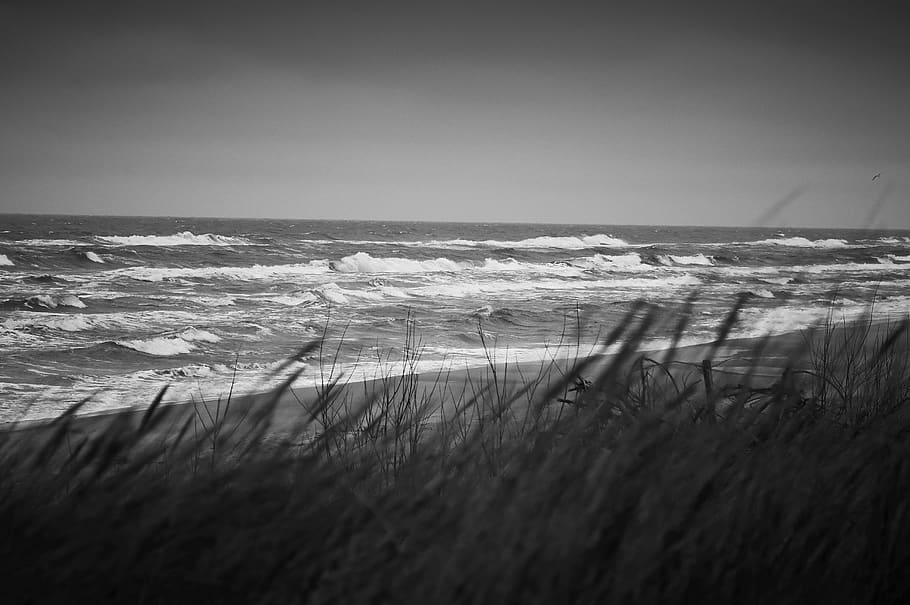 sea, waves, sand, beach, mood, blackandwhite, water, sky, beauty in nature HD wallpaper