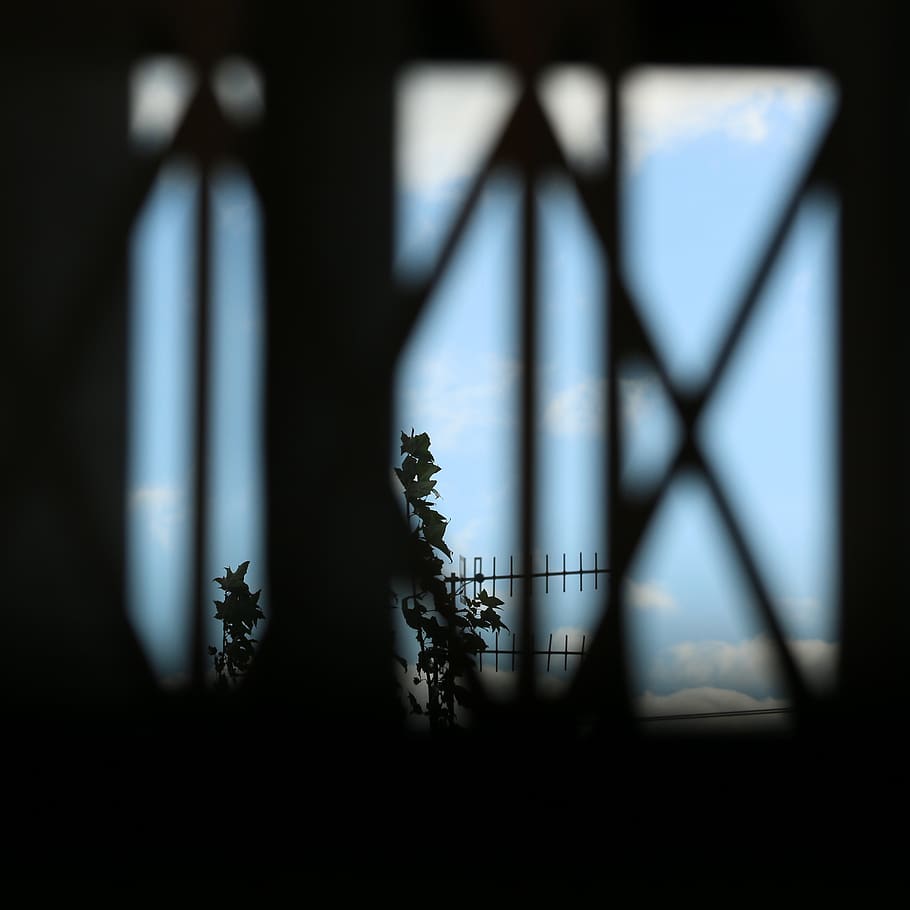 window, resticted, bars, no people, art and craft, indoors HD wallpaper