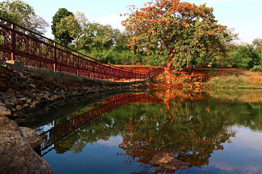 Reflection of a Tree on Body of Water Beside a Bridge Under Calm Blue Sky HD wallpaper