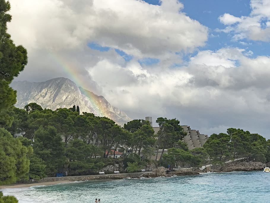 croatia, brela, water, cloud - sky, beauty in nature, tree HD wallpaper