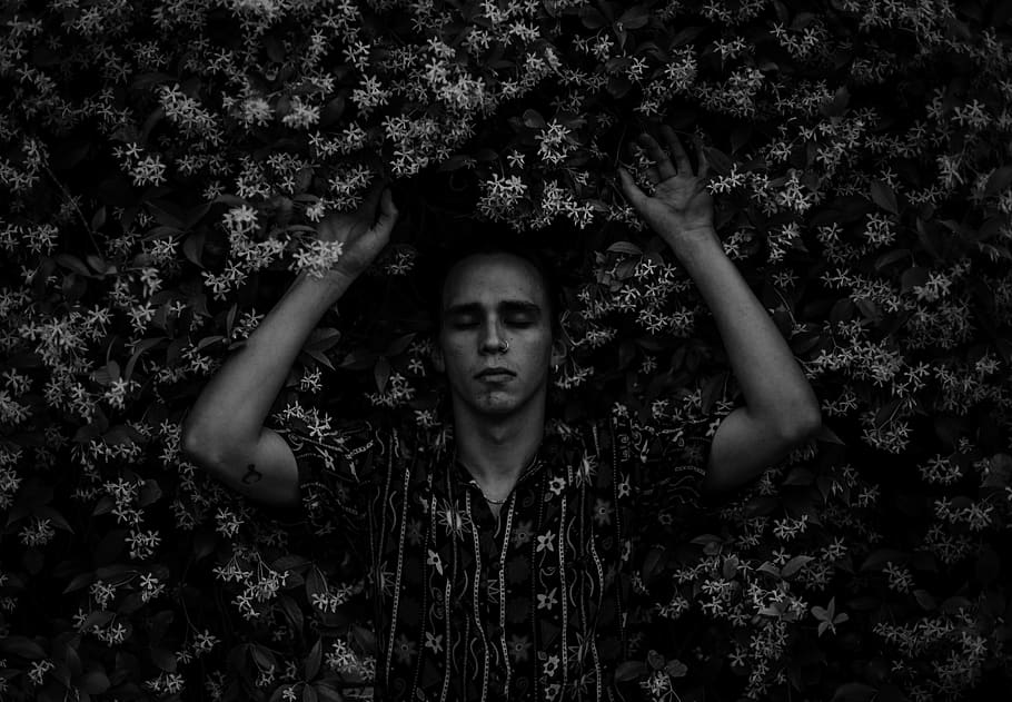 human, person, face, finger, plant, tree, leaf, photography HD wallpaper