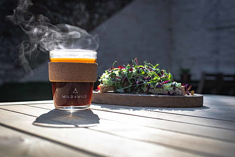clear glass cup, beer, beverage, drink, alcohol, smoke, plant HD wallpaper