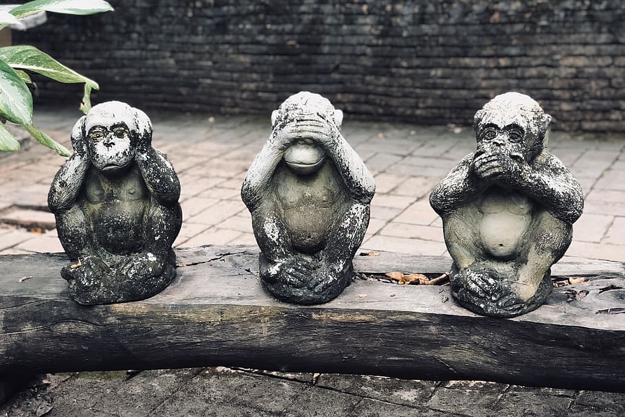 three wise monkeys statuette on log at daytime, sculpture, ornament