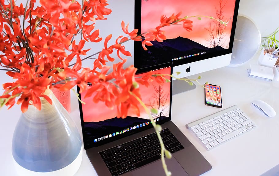MacBook pro turned on, computer, keyboard, desk, pc, flower, pretoria
