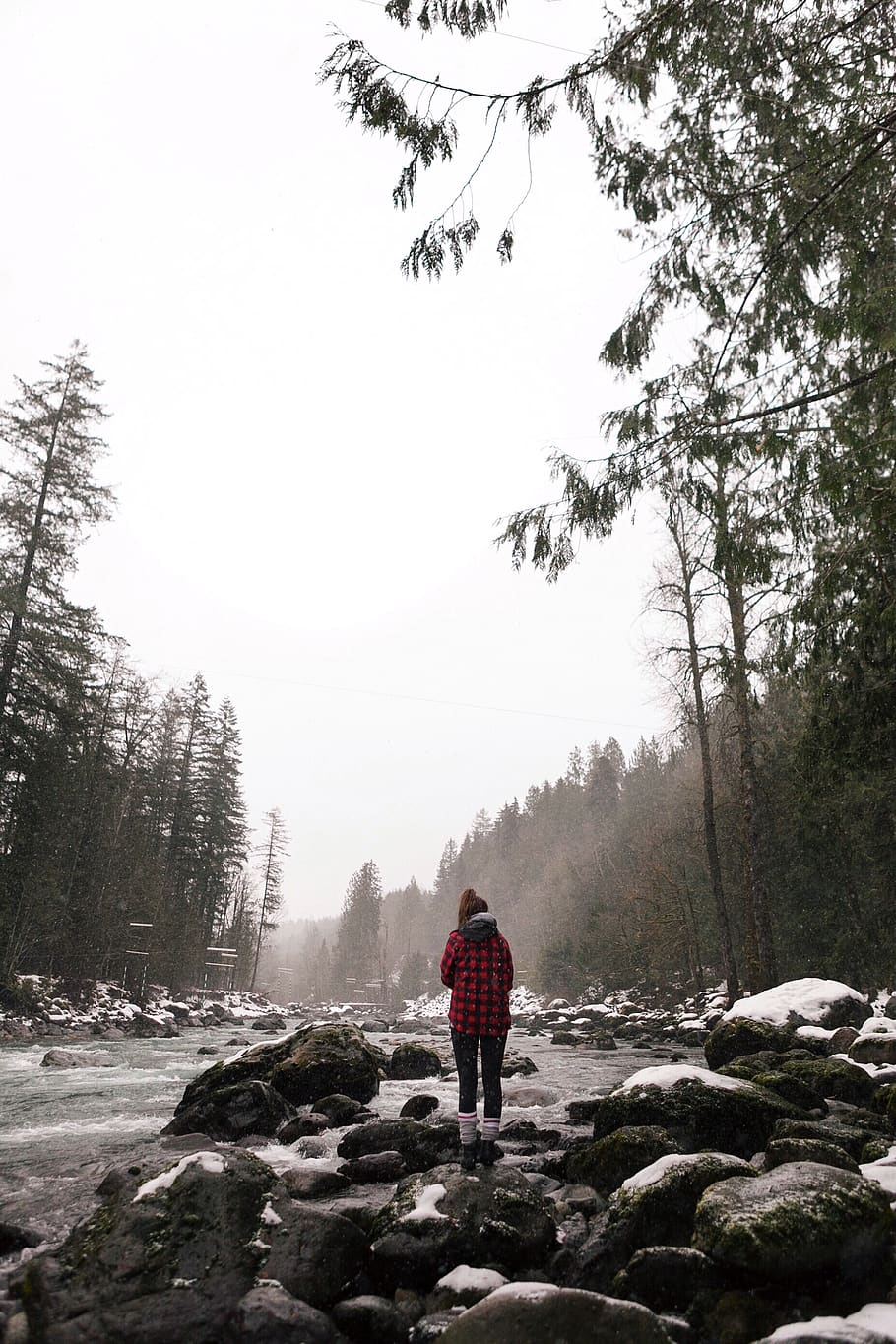 canada, chilliwack, water, winter, snow, nature, trees, cold HD wallpaper