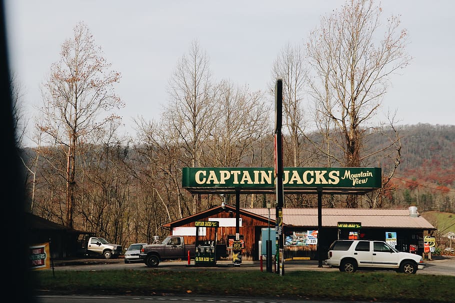 Captain Jacks signage, mode of transportation, tree, motor vehicle HD wallpaper