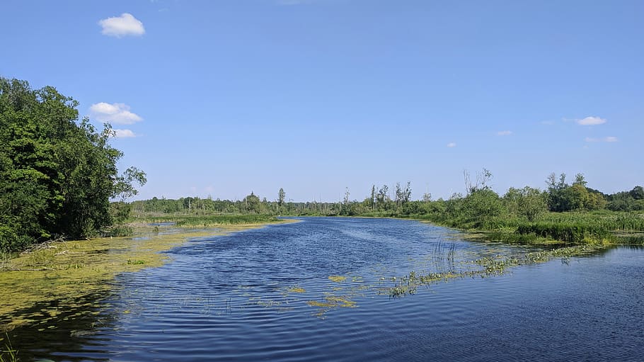estonia, tartu, tree, sky, lake, river, cloud, forest, water, HD wallpaper