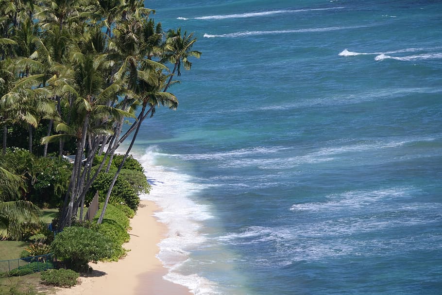 honolulu, hawaii, pacific, beach, ocean, sea, vacations, scenic HD wallpaper